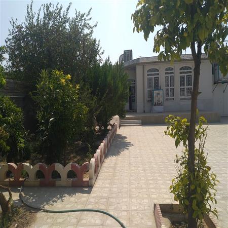 حیاط کتابخانه