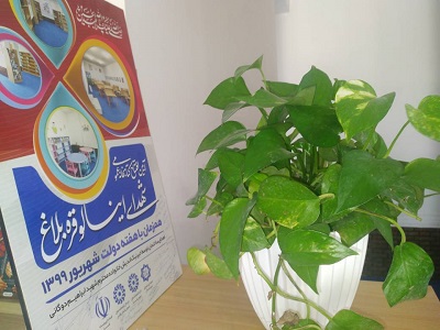 شاداب سازی